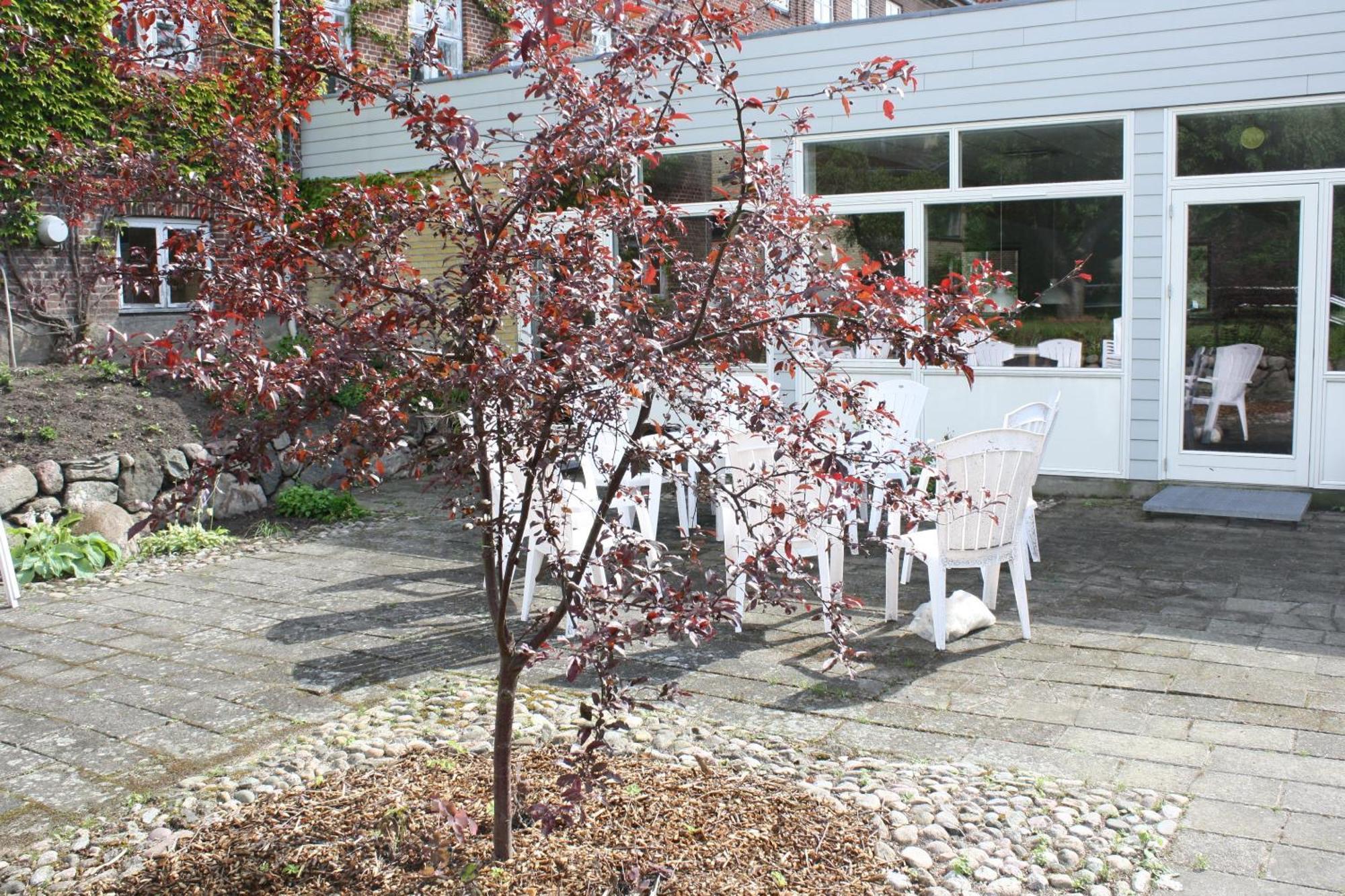 Emmaus Hostel Haslev Kültér fotó